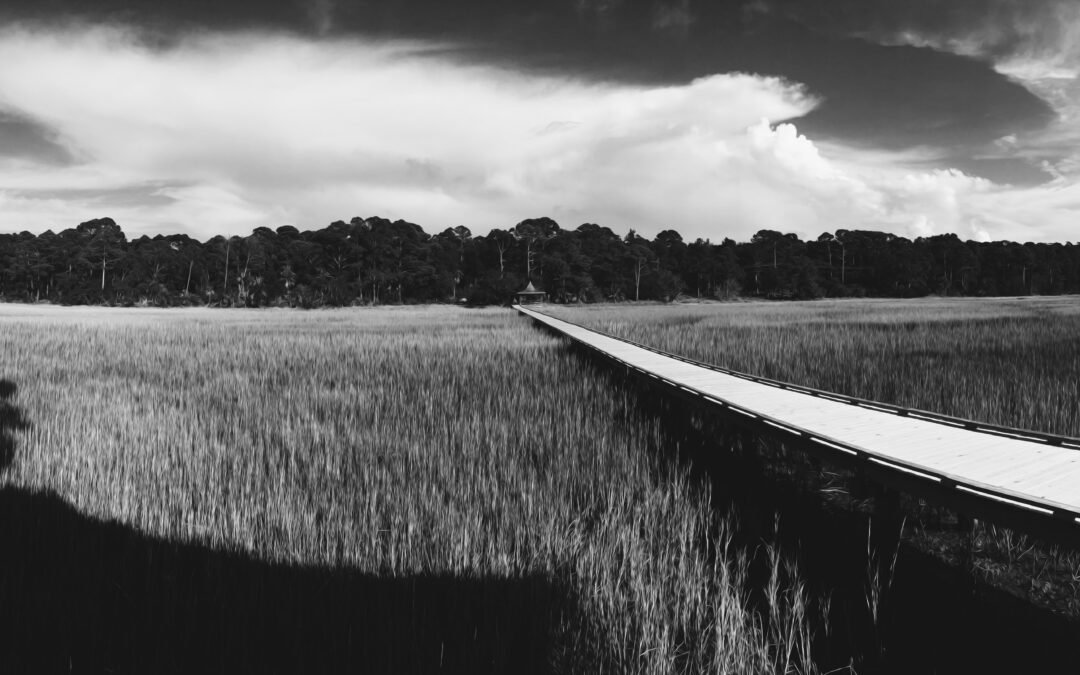 Huntington Beach Marsh Boardwalk